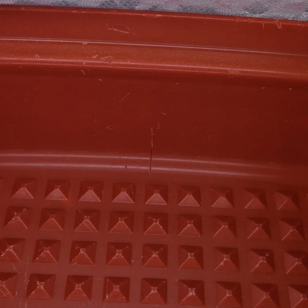 Tupperware: Marinade Container - Picture 10 of 13